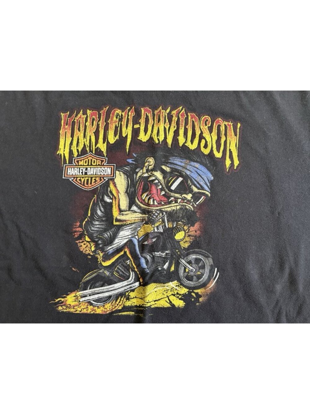 Harley-Davidson Black Graphic Men's Double-Sided T-Shirt Winchester VA